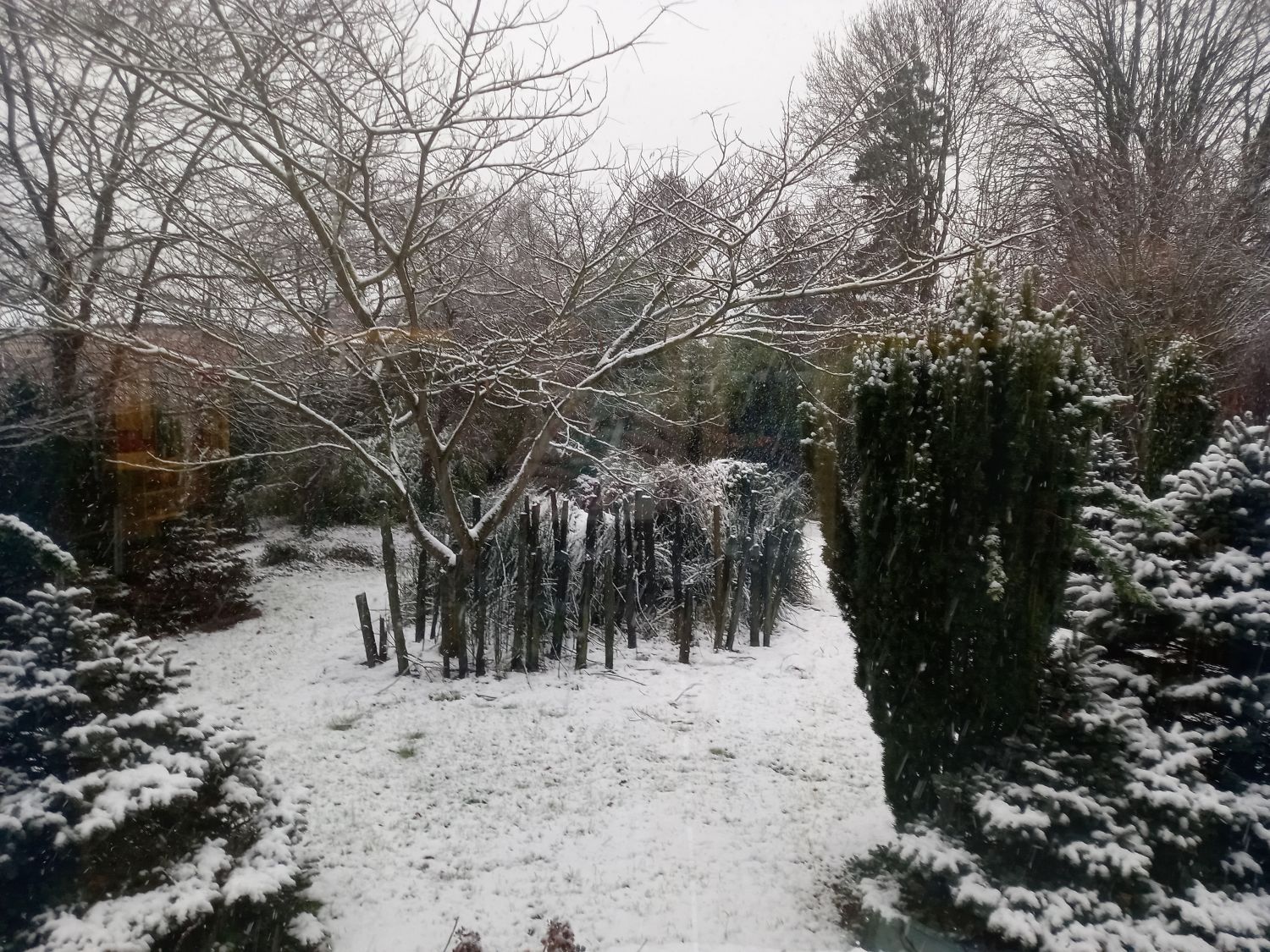 20250109 092951copie2